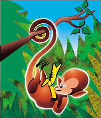 ضيا به شادی تبديل شد