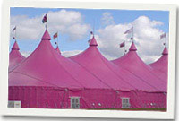 Perfformwyr yn y 'steddfod