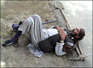 عکس از عطا امين