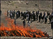 نابودی مواد مخدر