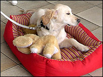 Darcy fundraising outside the cinema