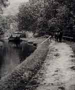 Horse and canal boat