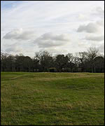 Saxon burial mounds in grass field
