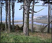 The view to Budleigh