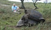 David Attenborough with giant tortoises