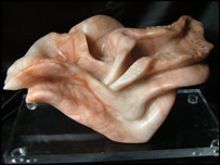 Emozioni by Giulia Portuese-Williams