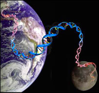 Seqüência de 2 bilhões de 'letras' fariam uma escada até a Lua