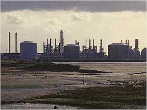Seal sands (Image: Natural England and Peter Wakely)
