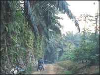 Vùng nông thôn Malaysia