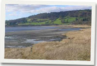 Llyn Tegid o Bont Mwnwgl y Llyn