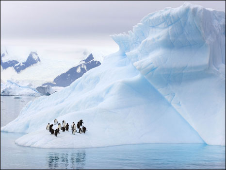 Fotos das esculturas naturais na Antártida (STEVEN KAZLOWSKI / BARCROFT)