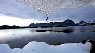 тающие ледники 