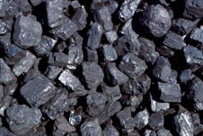 Coal