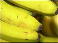 森百瑞实现香蕉贸易公平化转型