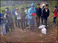 Hủy gà ở Trung Quốc