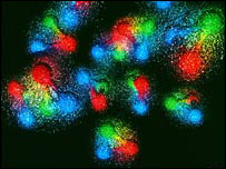 گزشتہ پچاس سال میں کاربن ڈائی  آکسائڈ کی مقدار میں بیس فیصد اضافہ ہو چکا ہے