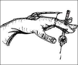 عکس از پرينز