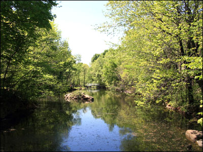 عکس از رضا دهقان