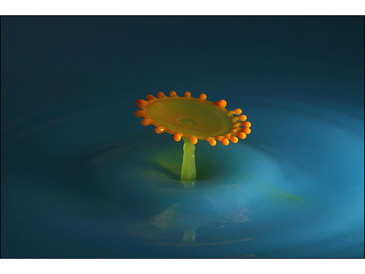 (Foto: Corrie White/All Rights Reserved)