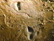 8,500-year-old footprints 8,500-year-old footprints