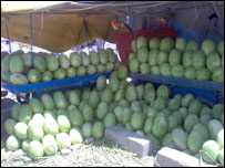 زراعتي محصولاتوته بازارموندنه