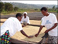 کشاورزان آفریقایی