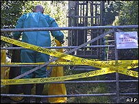 Policiais britânicos em área de segurança para conter o avanço da febre aftosa