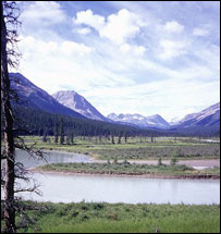 زيمناکه ځمکه