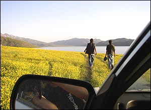 حسام آرماندهی