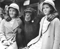 Twins with a chimpanzee