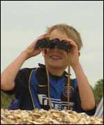 Watching the parade of sail