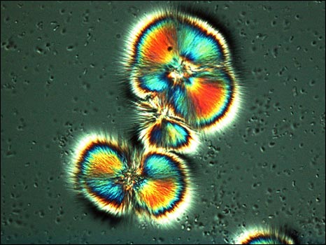 'Microbe vs. Mineral' (foto: Michael P. Zach, University of Wisconsin - Stevens Point)