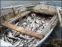 قايق ماهيگيری در توسکان