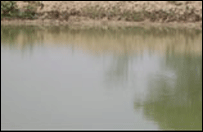 دریائے کاویری