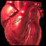 हृदय