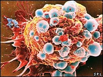 Células cancerígenas 