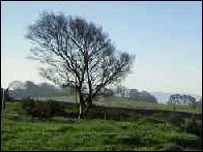 雷迪夫妇房外的景色