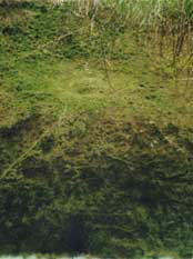 Lochnagar Crater today