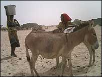 دس لاکھ سے زائد مقامی باشندے  بےگھر ہوئے ہیں