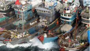 Tàu đánh bắt của Trung Quốc