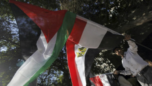 علما مصر وغزة