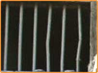 ساقی خانے سے جیل خانے تک