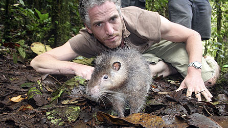 Gordon Buchanan with the Bosavi Woolly Rat