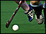Hockey