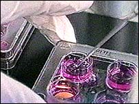 शुक्राणु