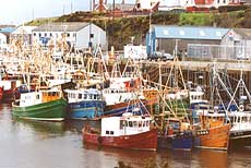 fishing boats in harbour