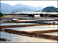 Hồ nuôi tôm ở Việt Nam