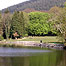 Castlewellan Lake (Image c/o Northern Ireland National Forest Service)  