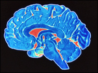 मस्तिष्क