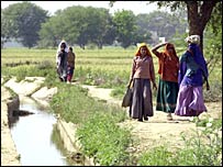 खेती-किसानी